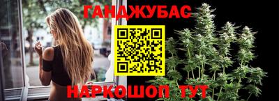 крисы Малоярославец