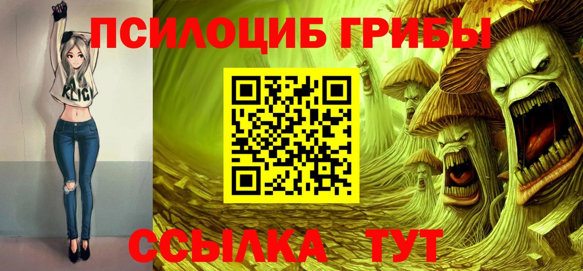 Гусиноозёрск  Псилоцибиновые грибы GOLDEN TEACHER  Вход с VPN  Псилоцибиновые грибы мухоморы 
