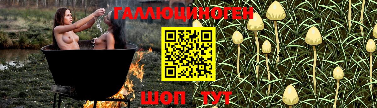 Псилоцибиновые грибы прущие грибы Гусиноозёрск